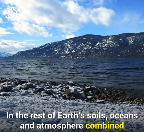 04 - the rest of the earths soils.png