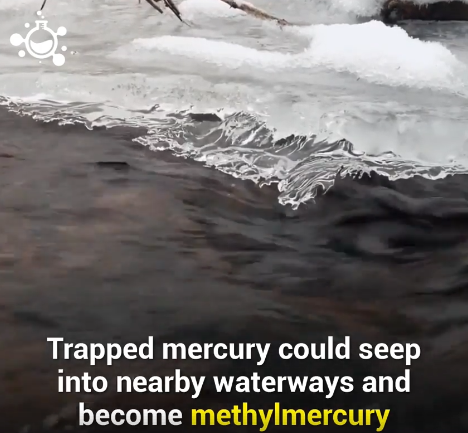 could become methylmercury.png