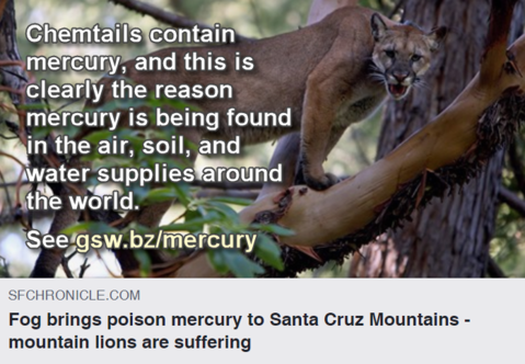 mercury-and-mountain-lions.png