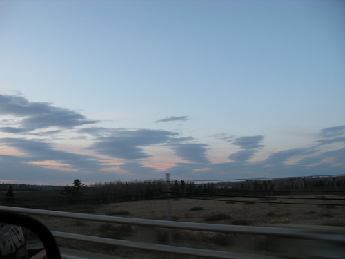 IMG_3676.JPG