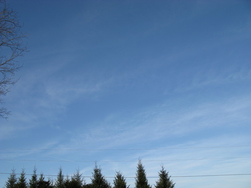 IMG_3622.JPG