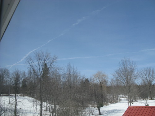 IMG_3556.JPG