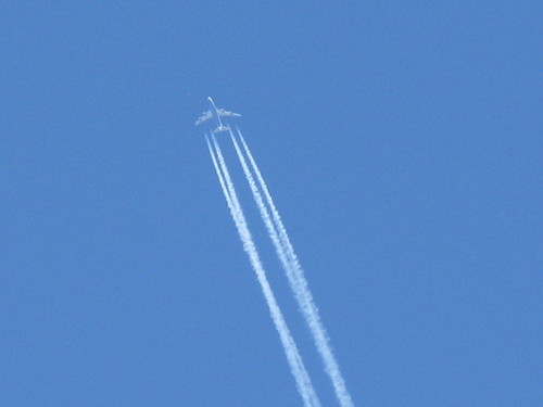 IMG_3520.JPG