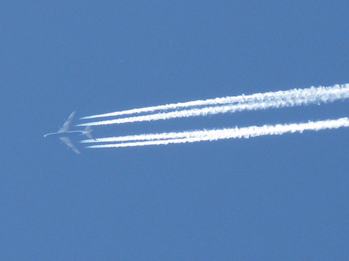 IMG_3522.JPG