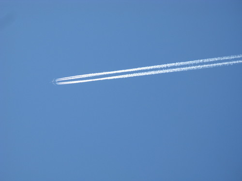 IMG_3523.JPG