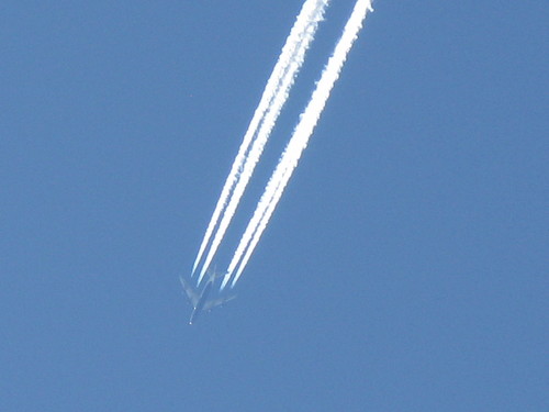 IMG_3525.JPG