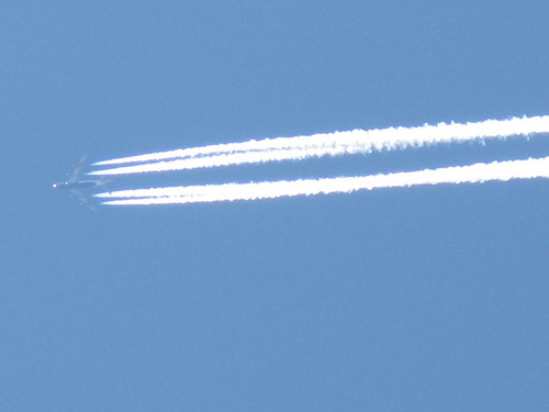 IMG_3526.JPG