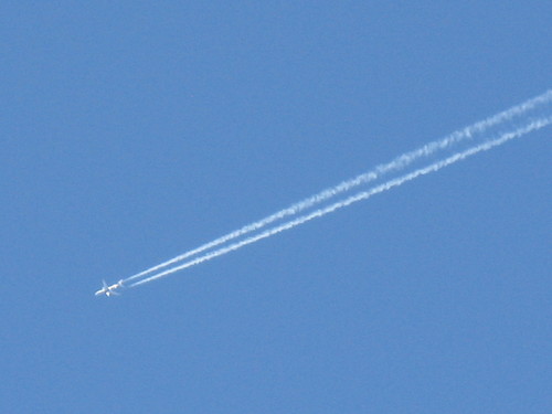 IMG_3530.JPG