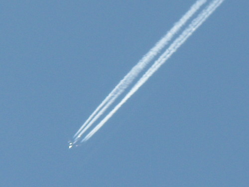 IMG_3535.JPG