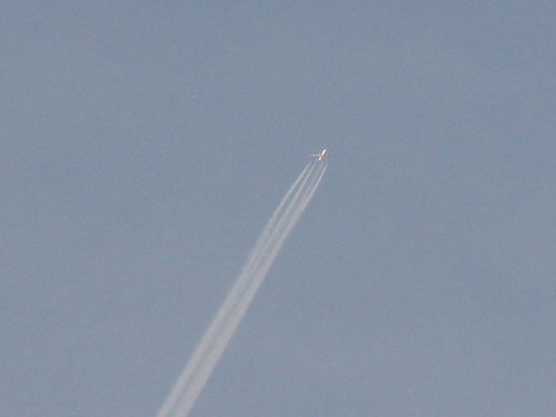 IMG_1469.JPG