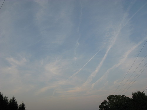 IMG_1487.JPG
