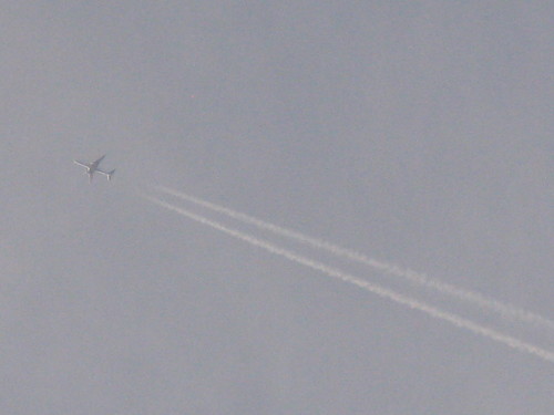 IMG_1494.JPG