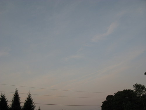 IMG_1503.JPG