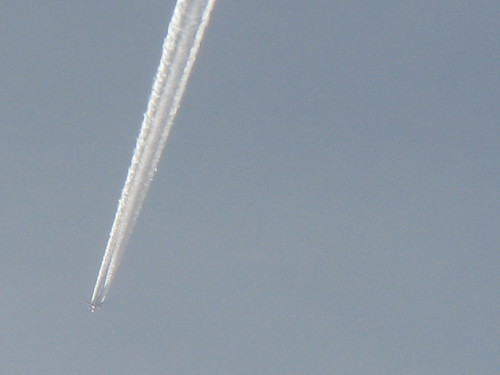IMG_5327.JPG