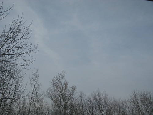 IMG_1126.JPG