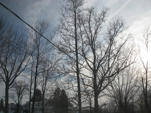 IMG_1127.JPG