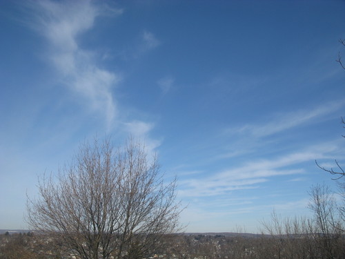 IMG_1169.JPG