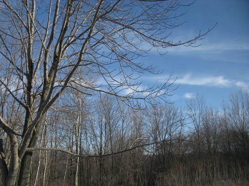 IMG_1172.JPG