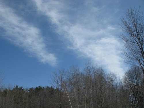 IMG_1185.JPG