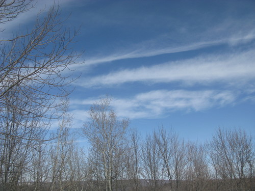 IMG_1199.JPG