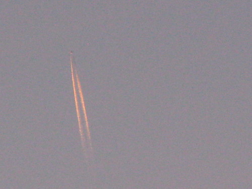 IMG_1327.JPG