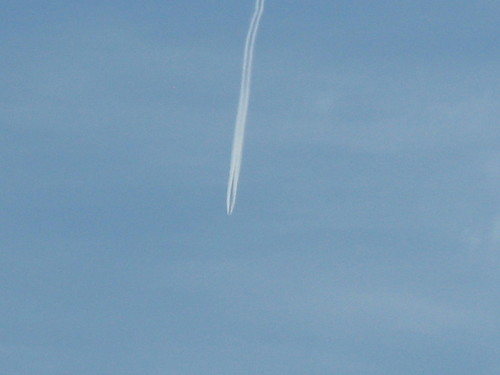 IMG_1370.JPG