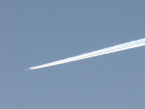 IMG_1410.JPG