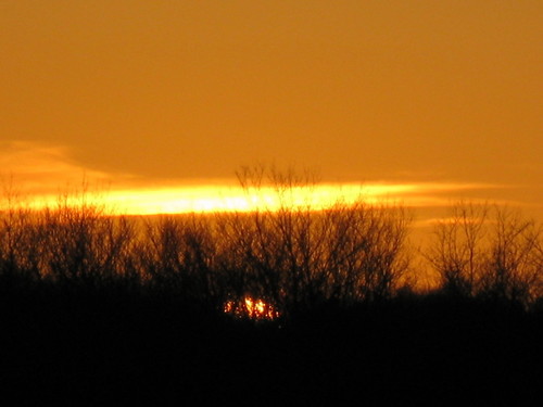 IMG_1447.JPG