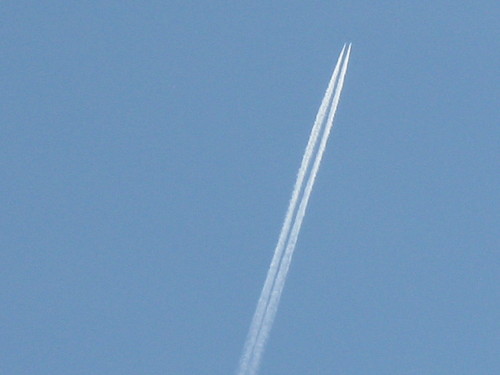 IMG_1493.JPG