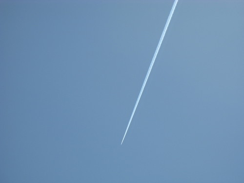 IMG_1500.JPG
