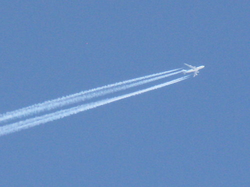 IMG_1514.JPG