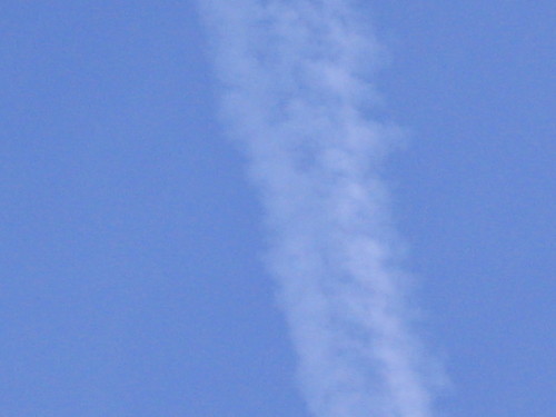 137_3719.JPG