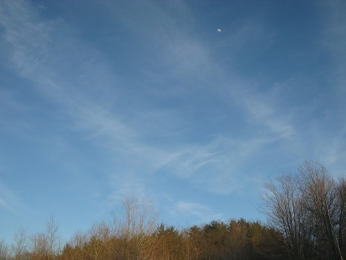 IMG_0745.JPG