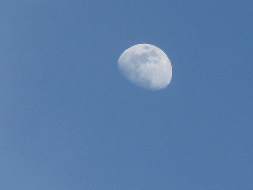 IMG_0753.JPG