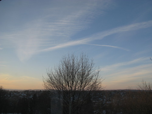IMG_0775.JPG