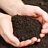 Soil Tests